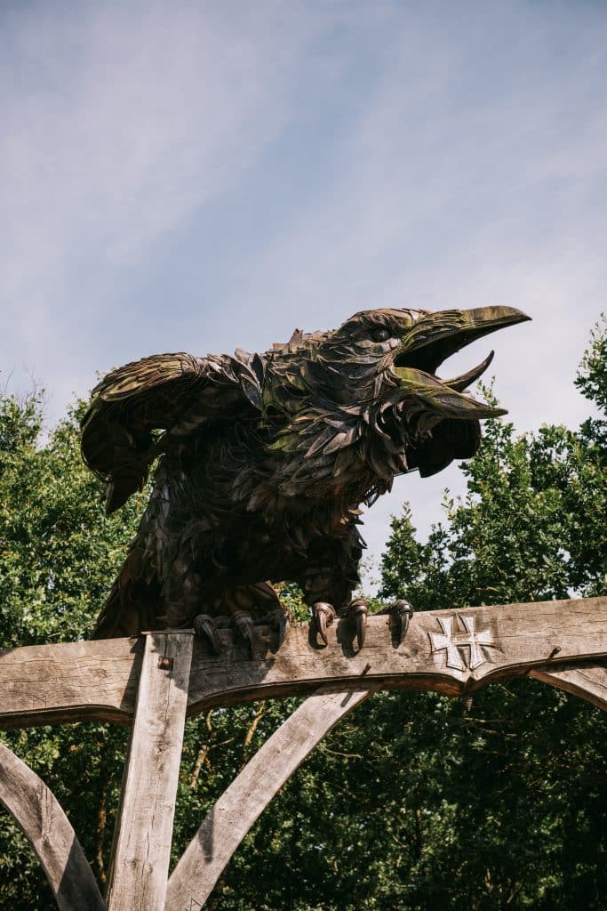 Sam20 Corbeau ©davidgallard 2026 06