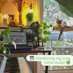 3 Plantes