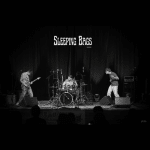 Img 4549