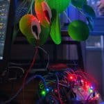Electrodes2