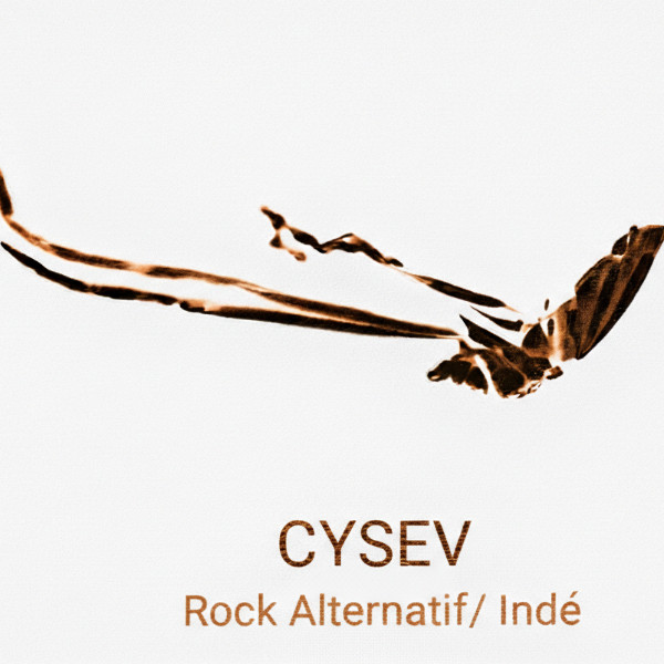 Photo de profil de CYSEV