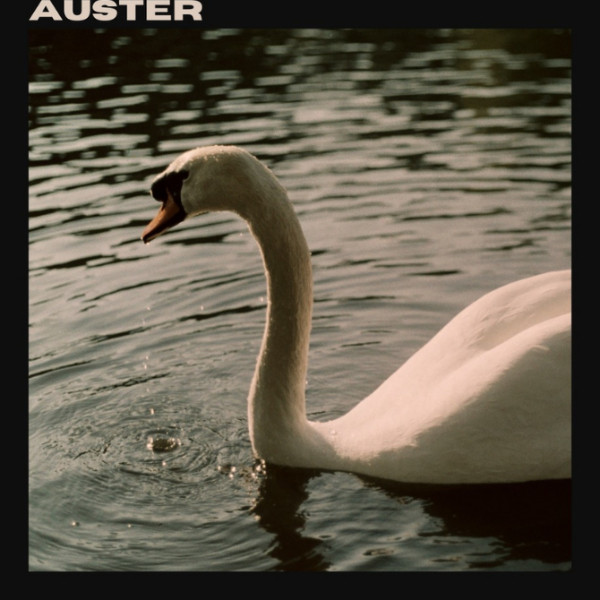 Photo de profil de Auster
