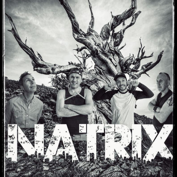 Photo de profil de NATRIX