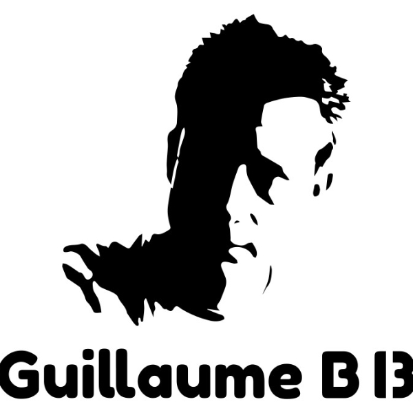 Photo de profil de Guillaume B13