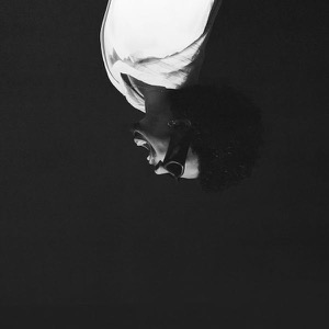 Photo de profil de ROB DONCI