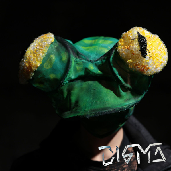 Photo de profil de DIGMA