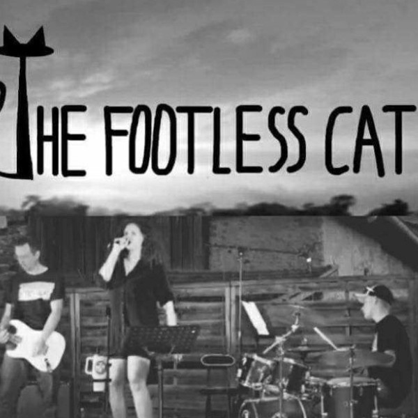 Photo de profil de THE FOOTLESS CAT