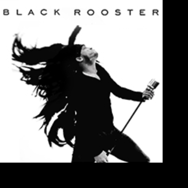 Photo de profil de BLACK ROOSTER