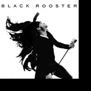 Photo de profil de BLACK ROOSTER