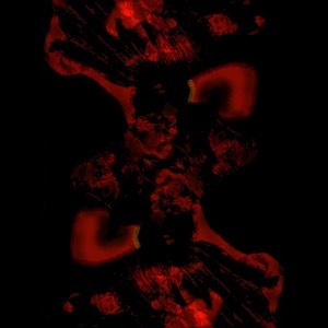 Photo de profil de Adz