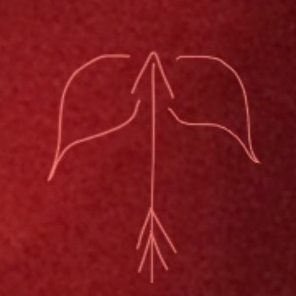 Photo de profil de FlyRose