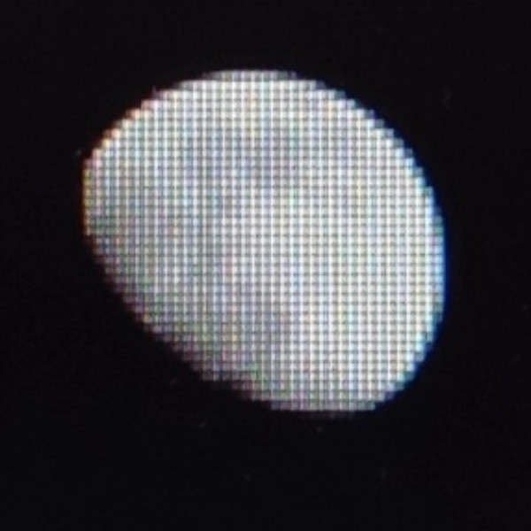 Photo de profil de Moonroz