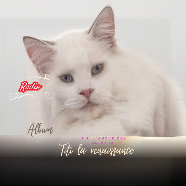 Photo de profil de Titi l'amour des animaux